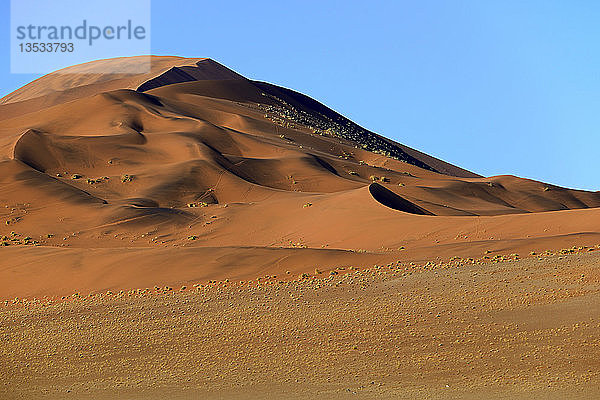 Riesige Sanddünen im Morgenlicht  Sossusvlei  Namib-Wüste  Namib Naukluft Park  Namibia  Afrika