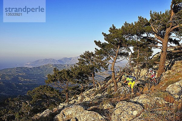 Zwei Mountainbiker radeln in felsigem Gelände durch Kiefernwälder  in der Nähe von Stavros  Kreta  Griechenland  Europa