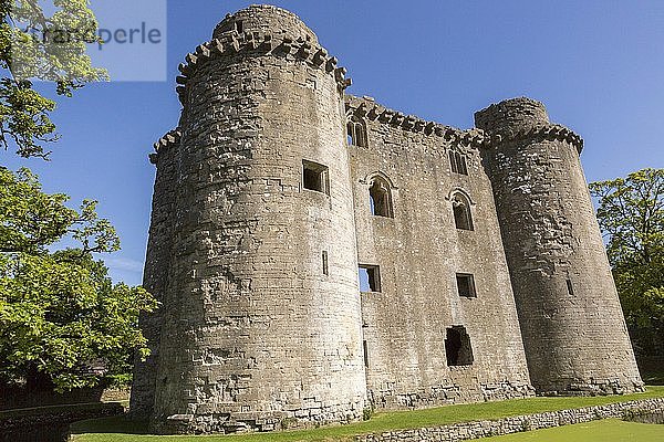 Historische Ruinen von Nunney Castle  Somerset  England  Vereinigtes Königreich  Europa