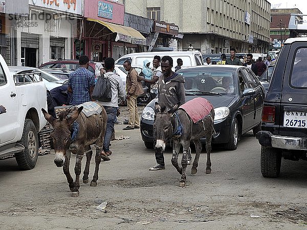 Zwei Esel zwischen den Autos auf schlechter Straße  Addis Abeba  Äthiopien  Afrika
