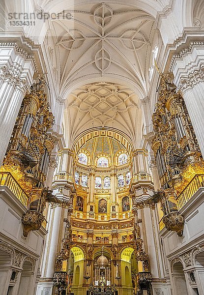 Kathedrale  weißer Innenraum und goldenes Heiligtum  mit Stuckdecke  Catedral de Granada  Granada  Andalusien  Spanien  Europa