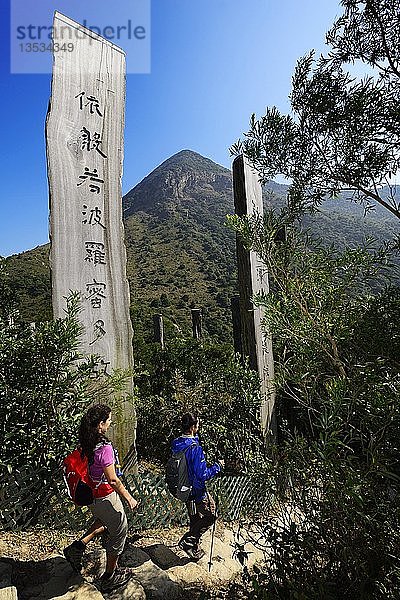 Wanderer vor Holzstelen am Wisdom Path  Lantau Peak  Lantau Island  Hongkong  China  Asien