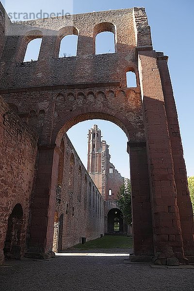 Ruinen der romanischen Basilika des Klosters Limburg an der Haardt  ehemalige Benediktinerabtei  Bad Dürkheim  Pfälzerwald  Rheinland-Pfalz  Deutschland  Europa