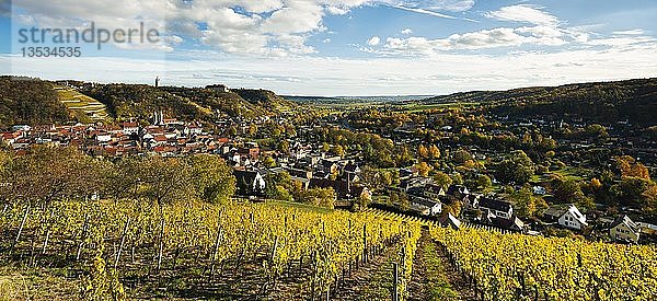 Blick über den Weinberg auf Freyburg  Herbst  Freyburg an der Unstrut  Sachsen-Anhalt  Deutschland  Europa