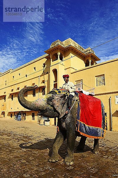 Dekorierter und bemalter Elefant im Amber Fort  Jaipur  Rajasthan  Indien  Asien
