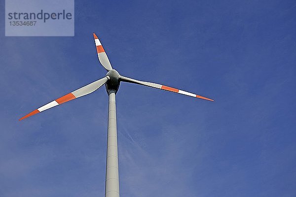 Windkraftanlage  Brandenburg  Deutschland  Europa