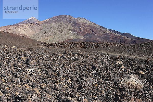 Teide-Nationalpark  Teneriffa  Spanien  Europa