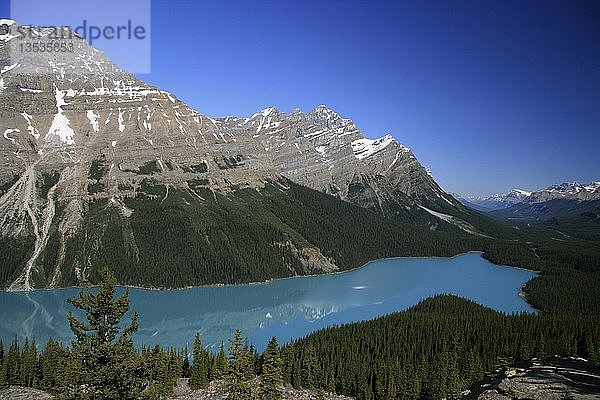 Peyto Lake  Banff National Park  Kanada  Nordamerika