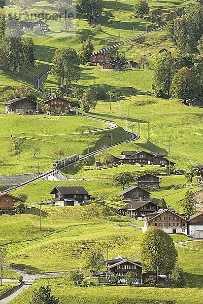 Ortsteil Grindelwald Grund mit Wengernalpbahn zur Kleinen Scheidegg  Grindelwald  Jungfrau Region  Berner Oberland  Schweiz  Europa