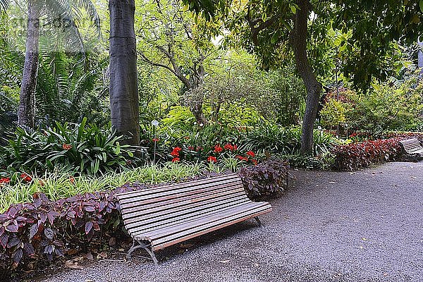 Parkbank im Jardín de aclimatación de la Orotava  Botanico  Botanischer Garten Teneriffa  Kanarische Inseln  Spanien  Europa