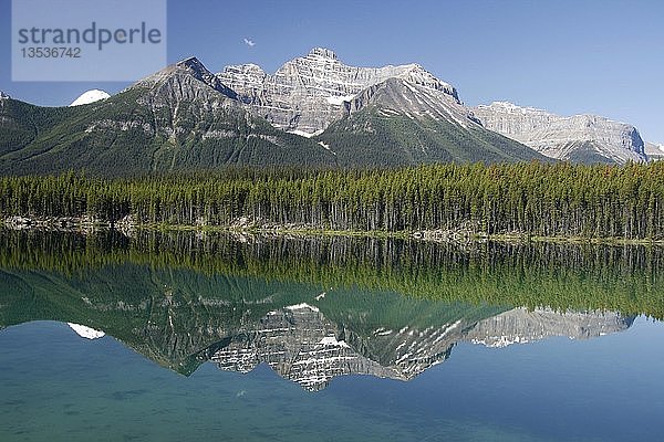 Peyto Lake  Banff National Park  Kanada  Nordamerika
