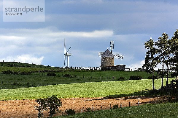 Windrad und Windkraftanlage zusammen inmitten von bewirtschafteten Feldern im Sommer  Windpark Allier  Departement Haute Loire  Auvergne  Frankreich  Europa