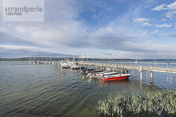 Hafen von Iznang  Baden-Württemberg  Deutschland  Europa