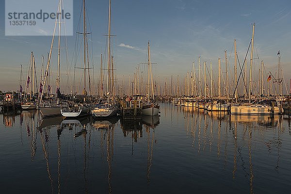 Segelboote im Yachthafen Maasholm  Mündung der Schlei in die Ostsee  Maasholm  Schleswig-Holstein  Deutschland  Europa