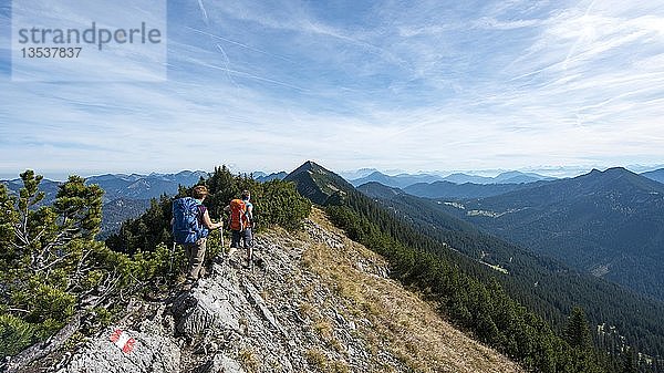 Wanderer bei der Überquerung der Blauberge  vom Predigtstuhl über Blaubergschneid  Blaubergkopf und Karschneid nach Halserspitz  Wildbad Kreuth  Oberbayern  Bayern  Deutschland  Europa