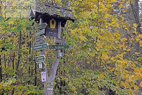 Wegweiser am Wanderweg  Naturpark Märkische Schweiz  Buckow  Brandenburg  Deutschland  Europa