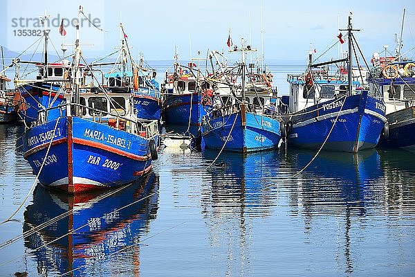 Fischerboote in der Bucht von Puerto del Hambre  nahe Punta Arenas  Magallanes  Patagonien  Chile  Südamerika