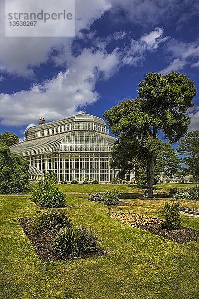 Gewächshaus aus dem Jahr 1884 im botanischen Garten  Dublin  Irland  Europa