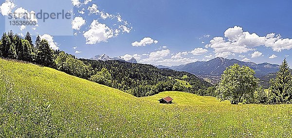 Frühlingshafte Berglandschaft mit grünem Gras  im Hintergrund die Gipfel von Zugspitze und Alpspitze  Wamberg  Oberbayern  Bayern  Deutschland  Europa