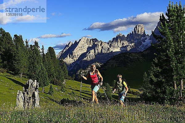 Wanderer beim Aufstieg von der Plätzwiese zum Gipfel des Dürrensteins  im Hintergrund der Gipfel des Monte Cristallo  Sextner Dolomiten  Hochpustertal  Südtirol  Italien  Europa