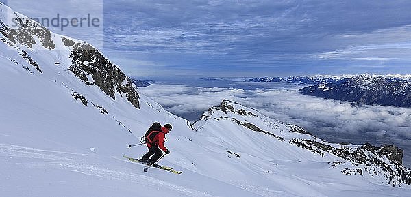 Skitour  Skifahrer bei der Abfahrt vom Alvier  Nebel über dem Rheintal  Alviergruppe  Appenzeller Alpen  Kanton St. Gallen  Schweiz  Europa