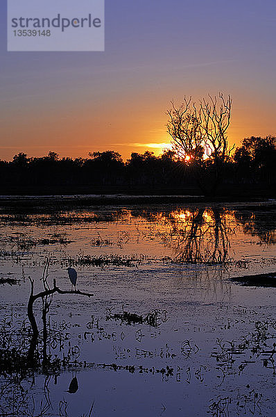 Sonnenaufgang an der Gelbwasserlagune  Kakadu NP  Australien