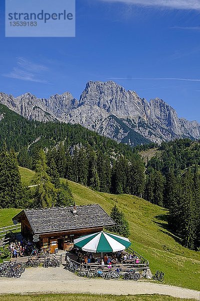 Mountainbiker auf Litzlalm  im Rücken Mühlsturzhörner von Reiter Alm  Pinzgau  Salzburger Land  Österreich  Europa