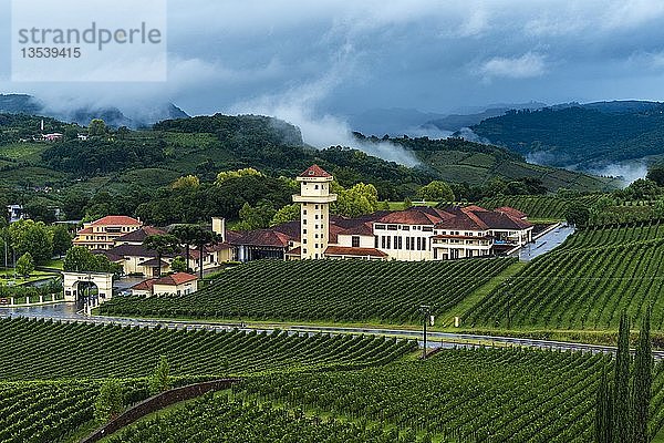 Weingut Miolo  Vale dos Vinhedos  Rota da Uva e de Vinho  Trauben- und Weinstraße  Bento Goncalves  Rio Grande do Sul  Brasilien  Südamerika