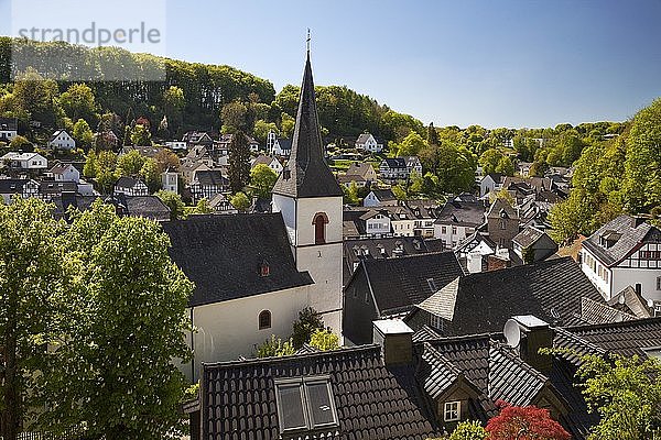 Stadtbild mit Pfarrkirche St. Maria Himmelfahrt  Blankenheim  Eifel  Nordrhein-Westfalen  Deutschland  Europa