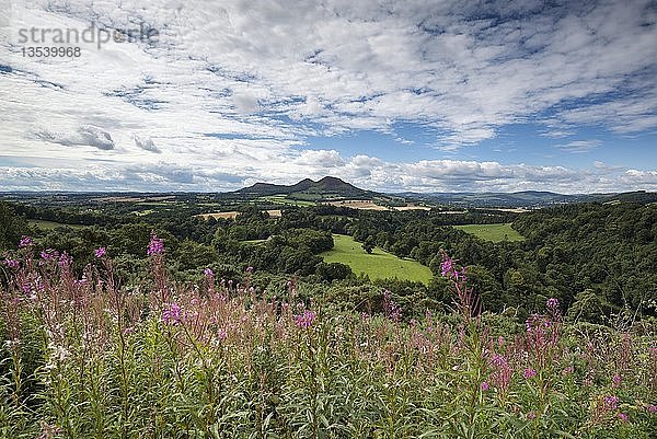 Aussichtspunkt  Scott's View  St Boswells  Borders District  Schottland  Vereinigtes Königreich  Europa