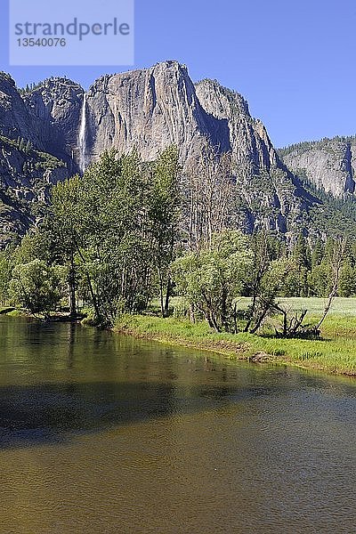 Typische Landschaft mit dem Merced River im Yosemite-Nationalpark  Kalifornien  USA  Nordamerika