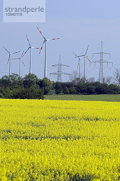 Rapsfeld  Strommasten und Windräder  erneuerbare Energien