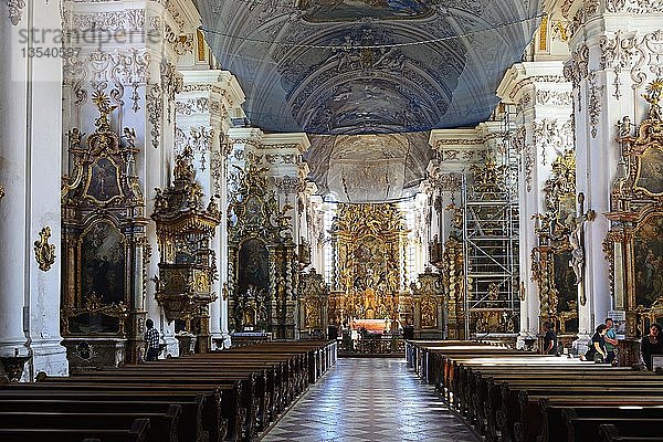 Asamkirche  Abtei Aldersbach  Ostbayern  Niederbayern  Bayern  Deutschland  Europa