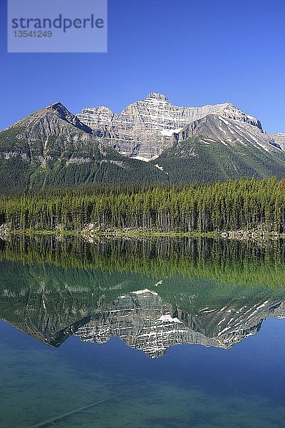 Peyto Lake  Banff National Park  Kanada  Nordamerika
