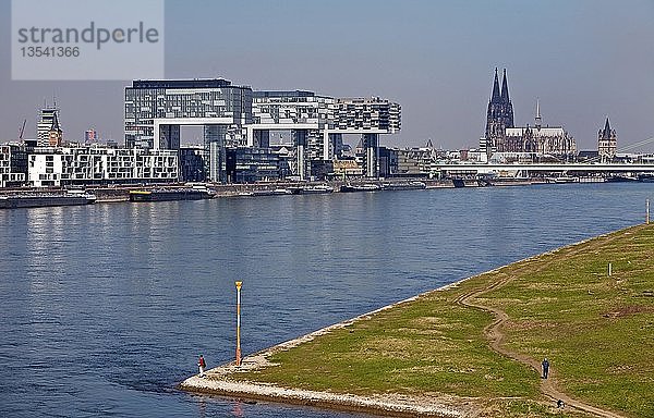 Kranhäuser am Rhein mit Kölner Dom  Köln  Rheinland  Nordrhein-Westfalen  Deutschland  Europa