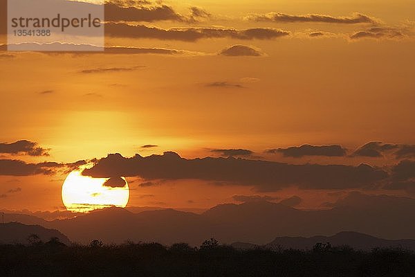 Sonnenuntergang im Tsavo-Nationalpark  Kenia  Afrika