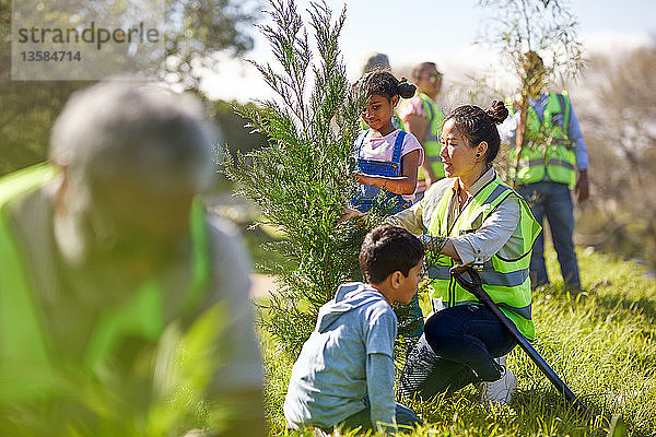 Frau und Kinder pflanzen freiwillig einen Baum in einem sonnigen Park