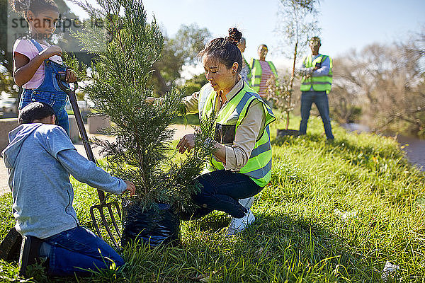 Frau und Kinder pflanzen freiwillig einen Baum auf einem sonnigen Campingplatz
