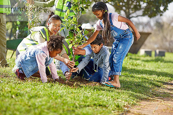 Freiwillige Kinder helfen beim Pflanzen von Bäumen im sonnigen Park