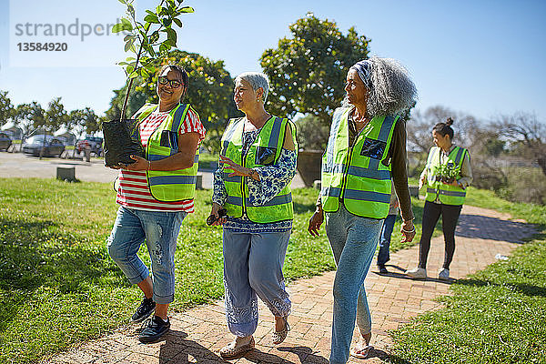 Freiwillige Frauen pflanzen einen Baum in einem sonnigen Park