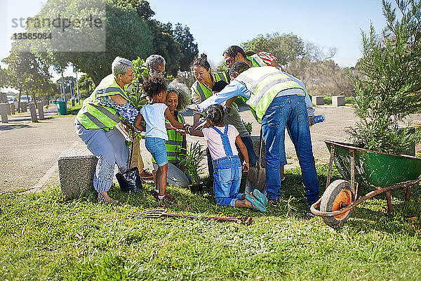 Freiwillige aus der Gemeinschaft pflanzen Bäume in einem sonnigen Park