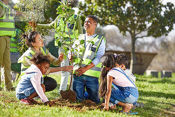 Freiwillige pflanzen einen Baum im Park