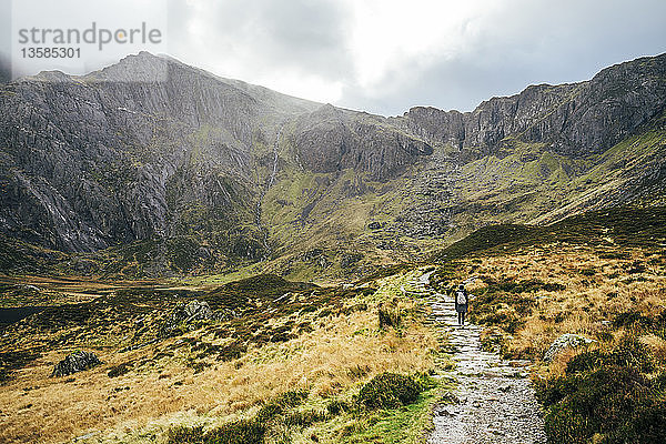 Frau wandert auf einem zerklüfteten Bergpfad  Snowdonia NP  Großbritannien