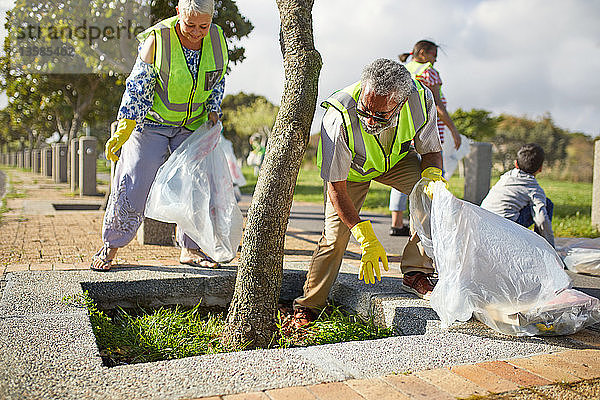 Ältere Freiwillige säubern den sonnigen Park von Abfällen