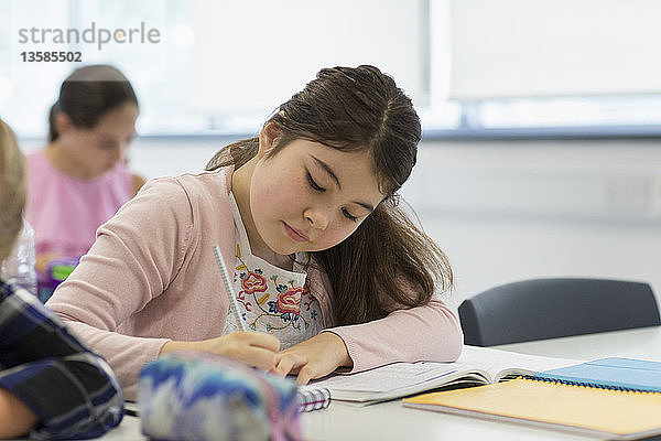 Konzentrierte Junior High School-Schülerin macht Hausaufgaben im Klassenzimmer