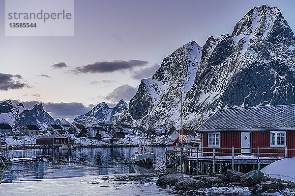 Beschauliches Fischerdorf unter schneebedeckten Bergen  Reine  Lofoten Inseln  Norwegen