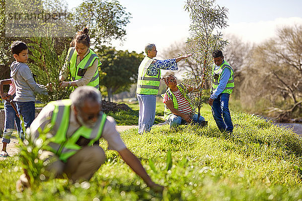 Freiwillige pflanzen Bäume im sonnigen Park