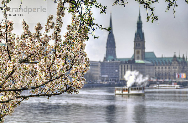 Rathaus  Hamburg  Deutschland  Europa