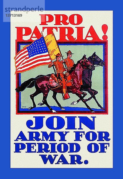 Pro Patria! Eintritt in die Armee für die Zeit des Krieges 1917
