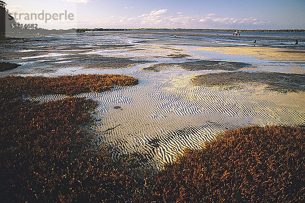 Sand- und Schlammwatt  wichtiger Lebensraum für Vögel und Meerestiere  Pumice stone Passage Marine Park  Sunshine Coast  Queensland  Australien